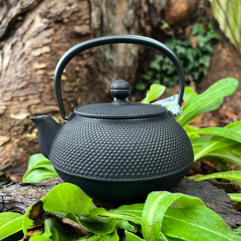 Iwachu Cast Iron Teapot With Dragonfly Pattern in Green